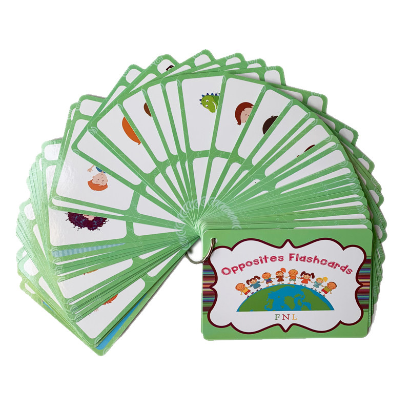 The 100 Groups Opposites Flash - Board Game Education review and price