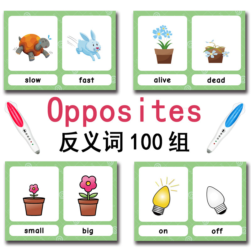 The 100 Groups Opposites Flash - Board Game Education review and price